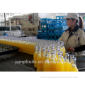 Industrial profession mango juice extractor